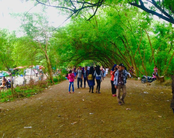 wisata pohon miring karawang